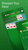 Solitaire - Classic Card Game screenshot 10