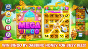 Bingo Aloha-Bingo tour at home screenshot 3